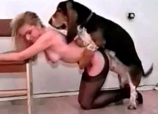 Smooth, tight pussy eaten out by a dachshund