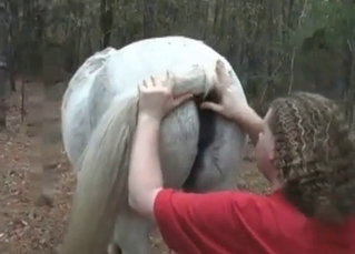 White horse getting railed by a chubby dude