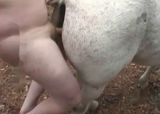 White horse getting railed by a chubby dude