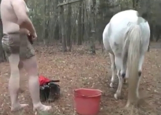 White horse getting railed by a chubby dude