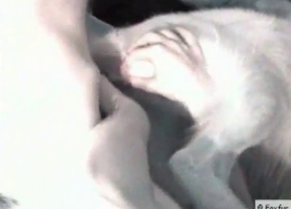 Flirty dog gets fucked in the ass