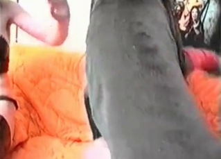 Black dog fucking a hot babe