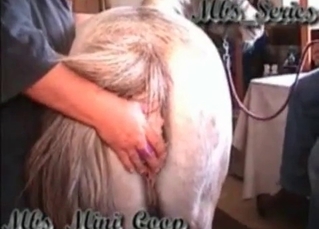 Bareback riding for a horse
