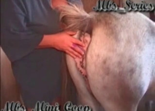 Bareback riding for a horse