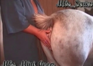 Bareback riding for a horse