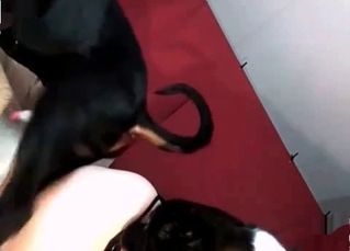 Wet cunt fucking by a black dog