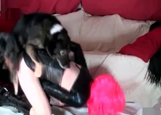 Wet cunt fucking by a black dog