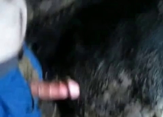 He shits and fucks a horse (not at once!)