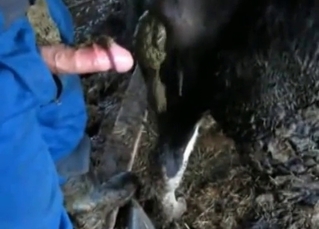 He shits and fucks a horse (not at once!)