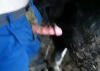 He shits and fucks a horse (not at once!)