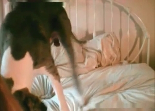 Fucks a dog, looks pretty in pink