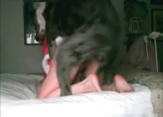 Fucks a dog, looks pretty in pink