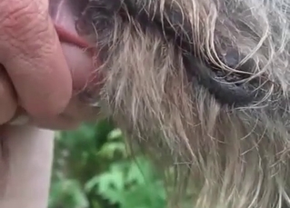 Animal BJ shown in slow-mo