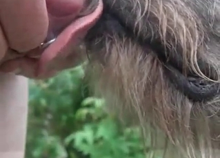 Animal BJ shown in slow-mo