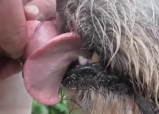 Animal BJ shown in slow-mo