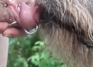 Animal BJ shown in slow-mo