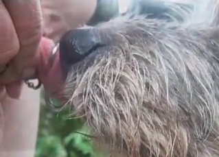 Animal BJ shown in slow-mo