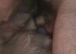 Dog’s hungry asshole penetrated