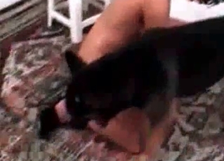 Slutty brunette babe and a shepherd