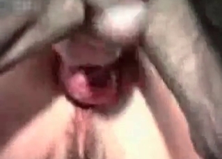 Amateur bestial action on cam