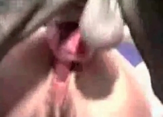 Amateur bestial action on cam