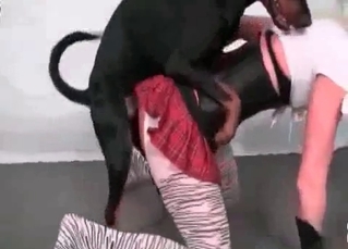 Awe-inspiring sex with animals