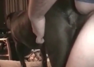 Anal sex is this dog’s #1 priority