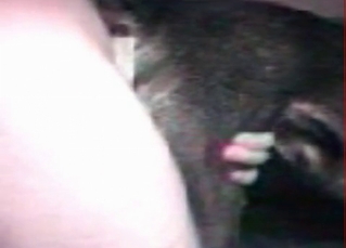 Tight animal asshole stretched out by a human cock