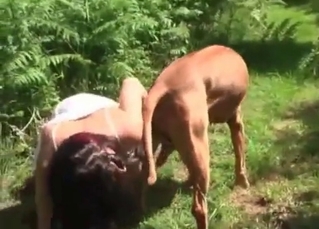 Animal sex for a cutie