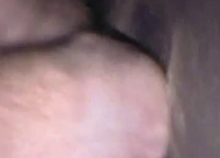 Kinky animal fucked by a dude