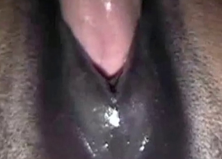 Kinky animal fucked by a dude