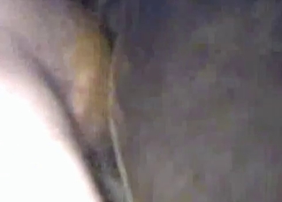 Kinky animal fucked by a dude