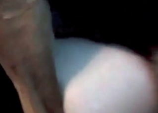 Sexy dog fucking her holes