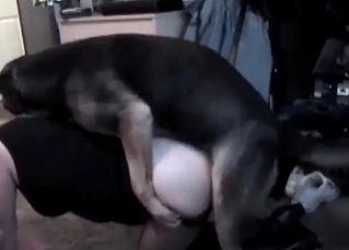 Sexy dog fucking her holes