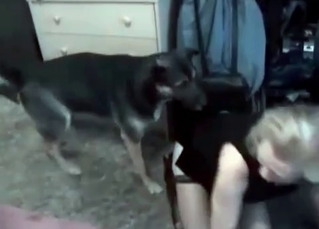 Sexy dog fucking her holes