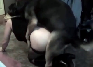 Sexy dog fucking her holes