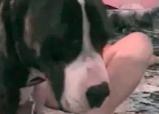Twisted bitch gets twisted pleasure from a dog