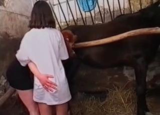Filthy barn equals filthy animal-fucking