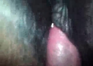 POV-style action with a brown horse