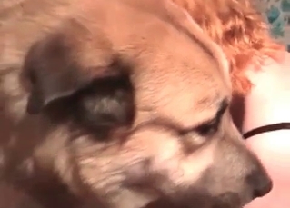 MILF fucking a cute, innocent doggy
