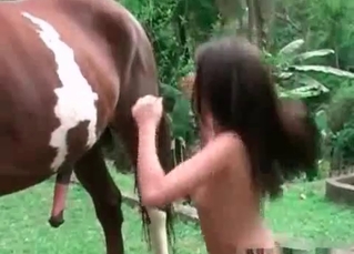 Horse gets a sensual blowjob