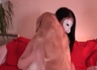 Trained dog fucking a masked Asian