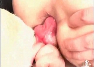 Big dog cock for a chubby whore