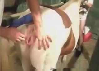 Farm sex turns kinky