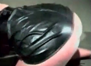 Coy dog fucking her rough
