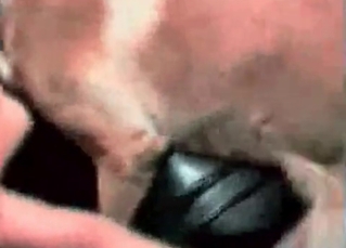 Coy dog fucking her rough