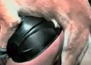 Coy dog fucking her rough
