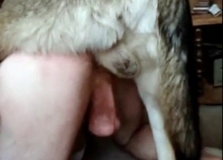 Her pussy gets destroyed by a dog