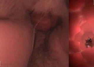 Dog gets fucked by two chicks
