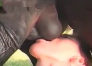 She’s licking those huge animal balls